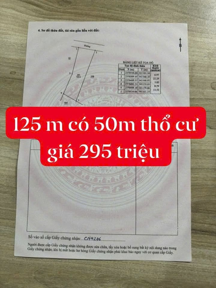 Đất nền Tam Sơn Sông Lô 125m² giá 295 triệu - Sổ đỏ chính chủ!