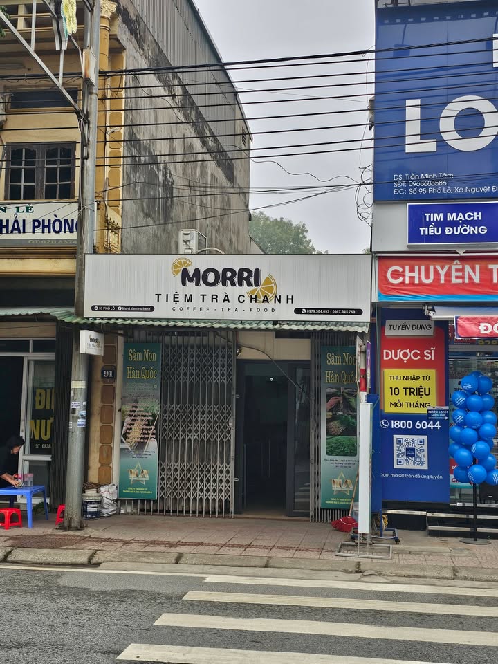 Đất nền Xã Đức Bác Sông Lô 100m² - Vị trí đắc địa kinh doanh!