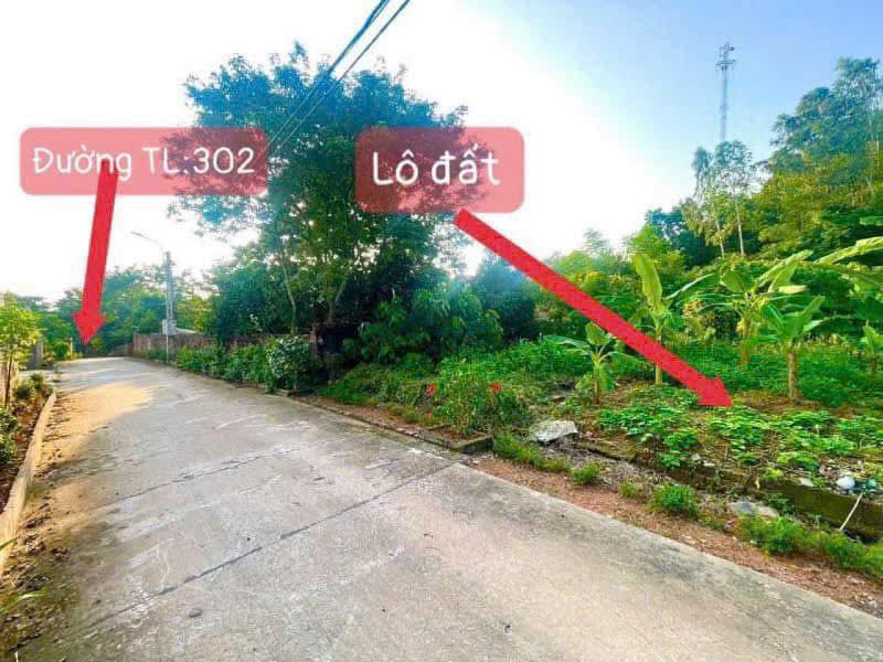 Đất Nền Tam Đảo 247m² - Hướng Đông Nam, Giá Tốt Đầu Tư