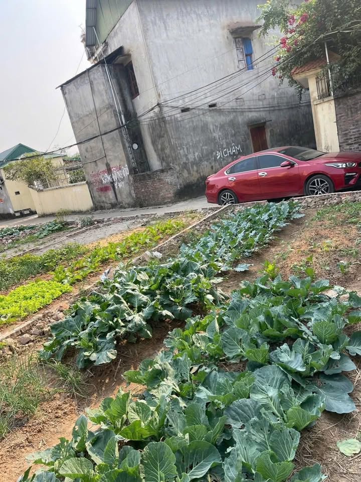 Đất nền Phật Tích 72m² - Sổ hồng chính chủ, tiềm năng KCN!