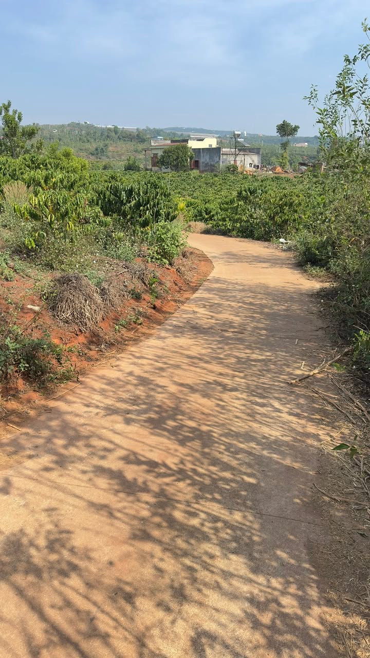 Đất Vườn Lâm Hà 4000m² Full Thổ Cư - 2 Mặt Tiền Giá 2.3 Tỷ