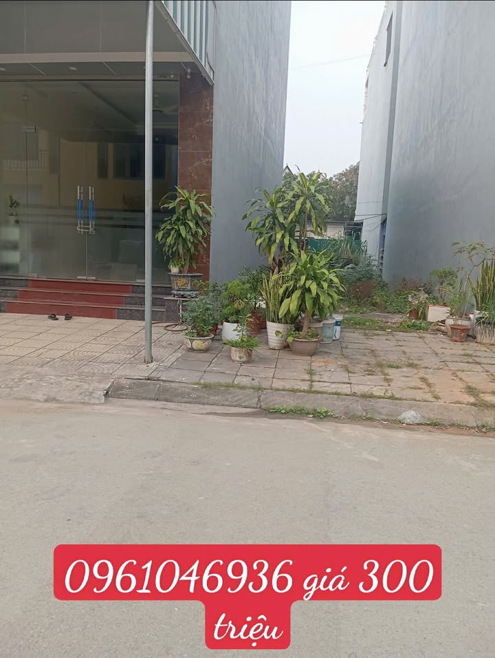 Đất nền Ba Hàng Đồi 80m² Sổ Đỏ - Chỉ 300 Triệu Sẵn Sàng Đầu Tư