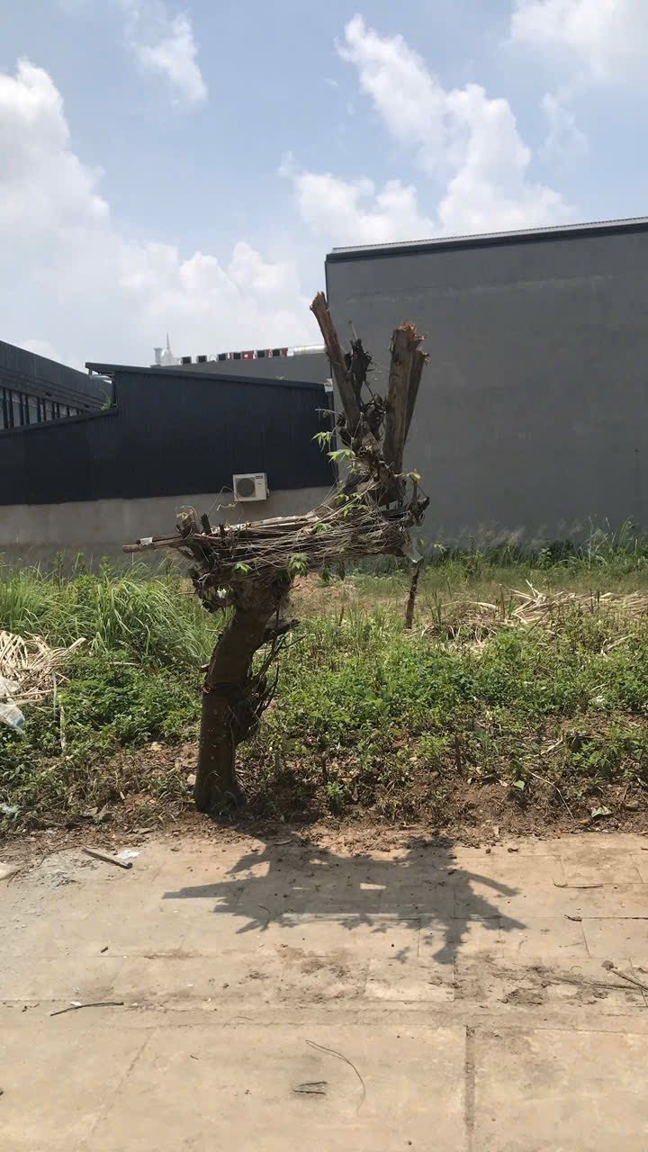 Đất nền KĐT Ruby Yên Bình 102.5m² - Tiềm năng tăng giá vượt trội!