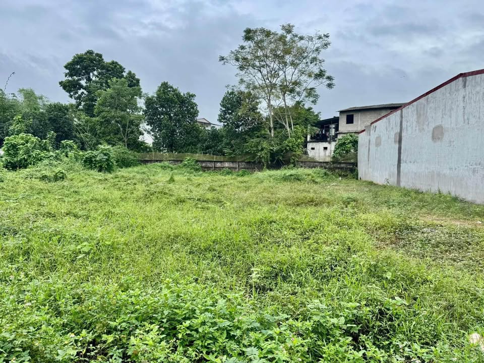 Đất nền Tuyên Quang 200m² - Sổ đỏ chính chủ, ô tô đỗ cửa