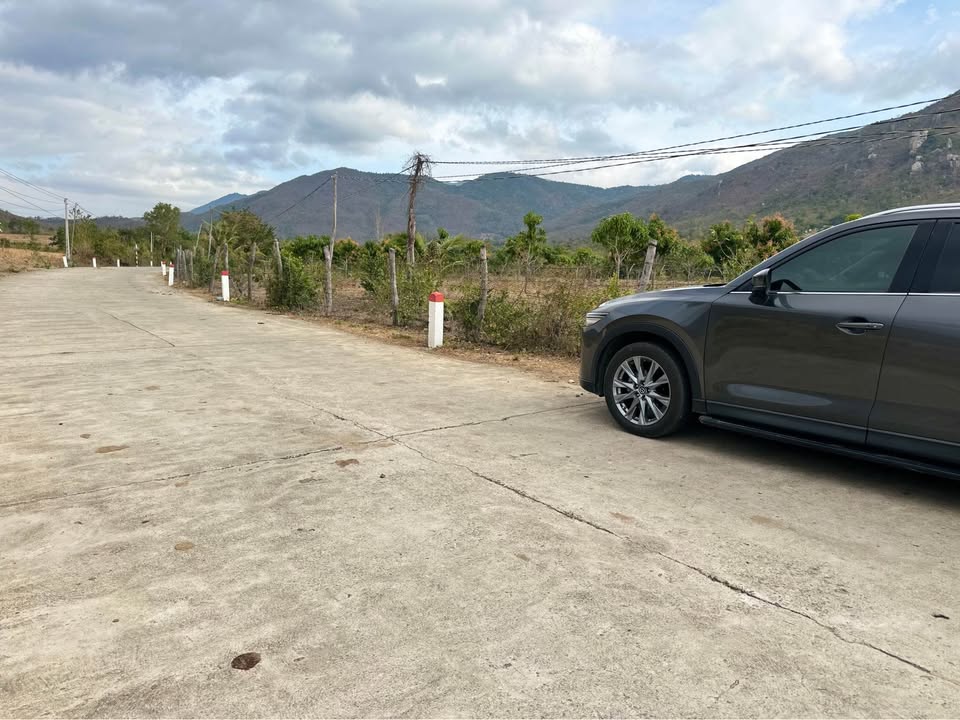 Đất nền Mỹ Sơn 1.6ha - Sổ đỏ chính chủ, tiềm năng sinh lời cao!