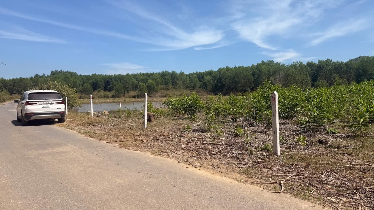 Đất Nền Mặt Tiền Diên Lâm 500m² - Giá 350 Triệu/Lô, Sẵn Sổ