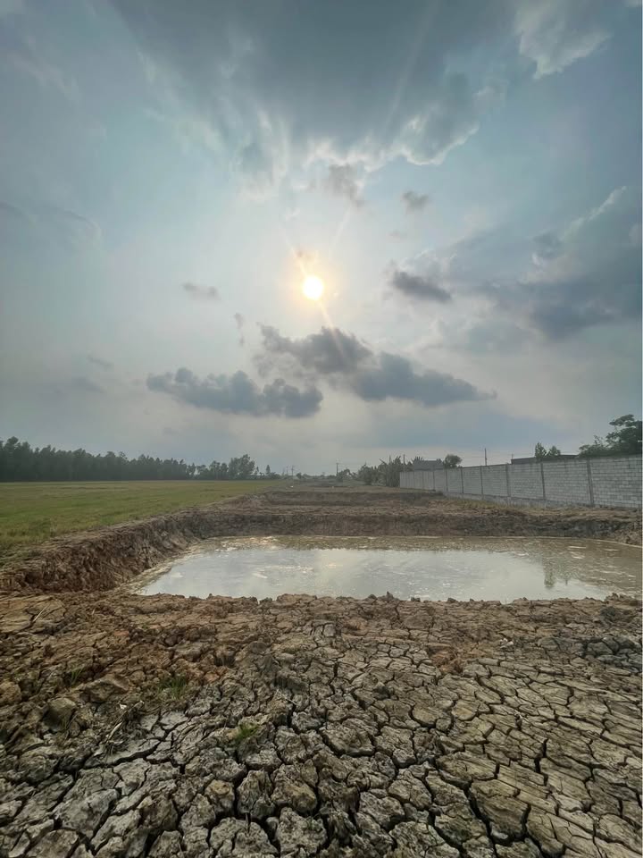 Đất vườn Lâm Quang Ky 5091m² giá 8.094 tỷ - Đường to ô tô