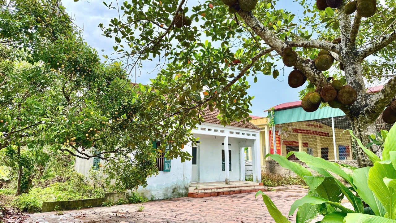 Đất nền Đồng Tâm, Yên Thế 1400m² - Sổ đỏ chính chủ, tiềm năng sinh lời!