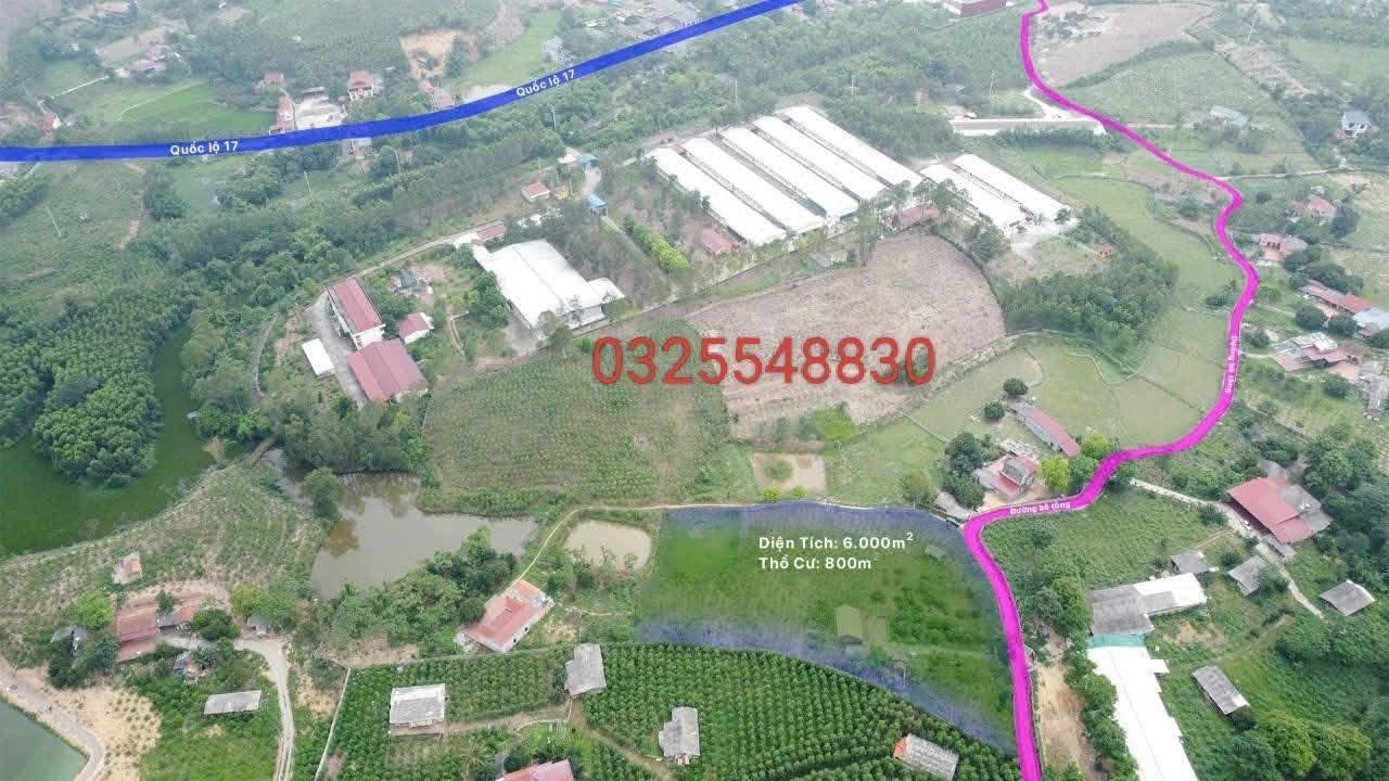 Đất vườn Tam Tiến Yên Thế 6000m² giá 3.3 tỷ - Nghỉ dưỡng lý tưởng!