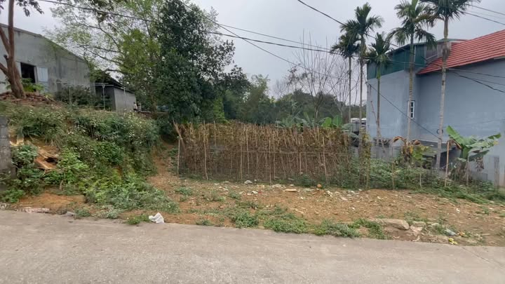 Đất Nền Thanh Sơn, Phú Thọ - 600m² Vuông Vắn, Sẵn Sàng Đầu Tư