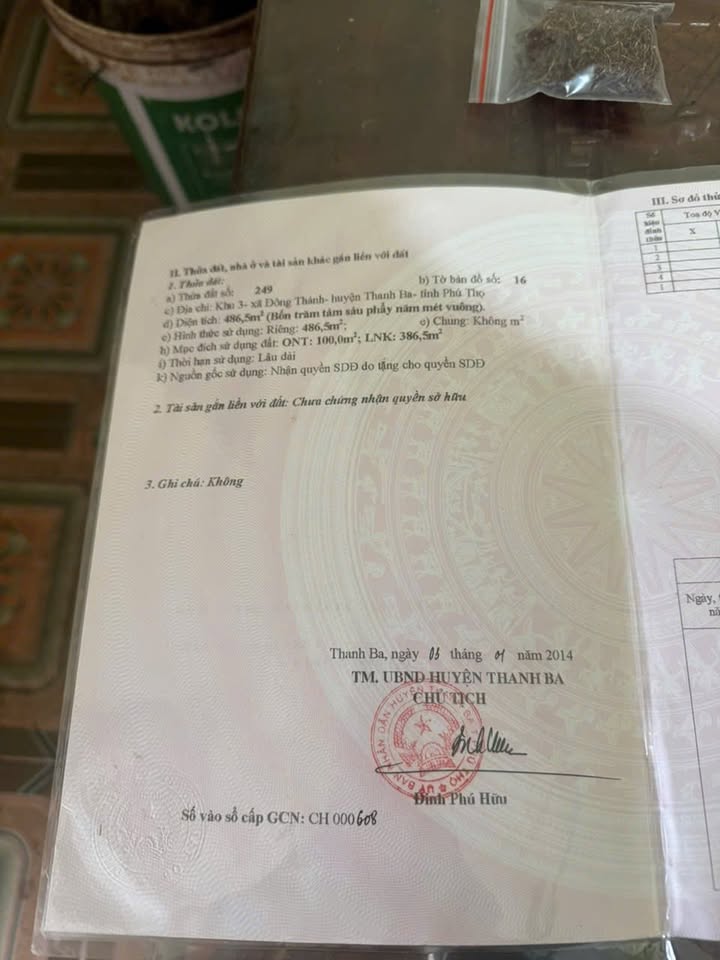 Đất nền Đông Thành, Thanh Ba 486.5m² - Tiềm năng tăng giá!