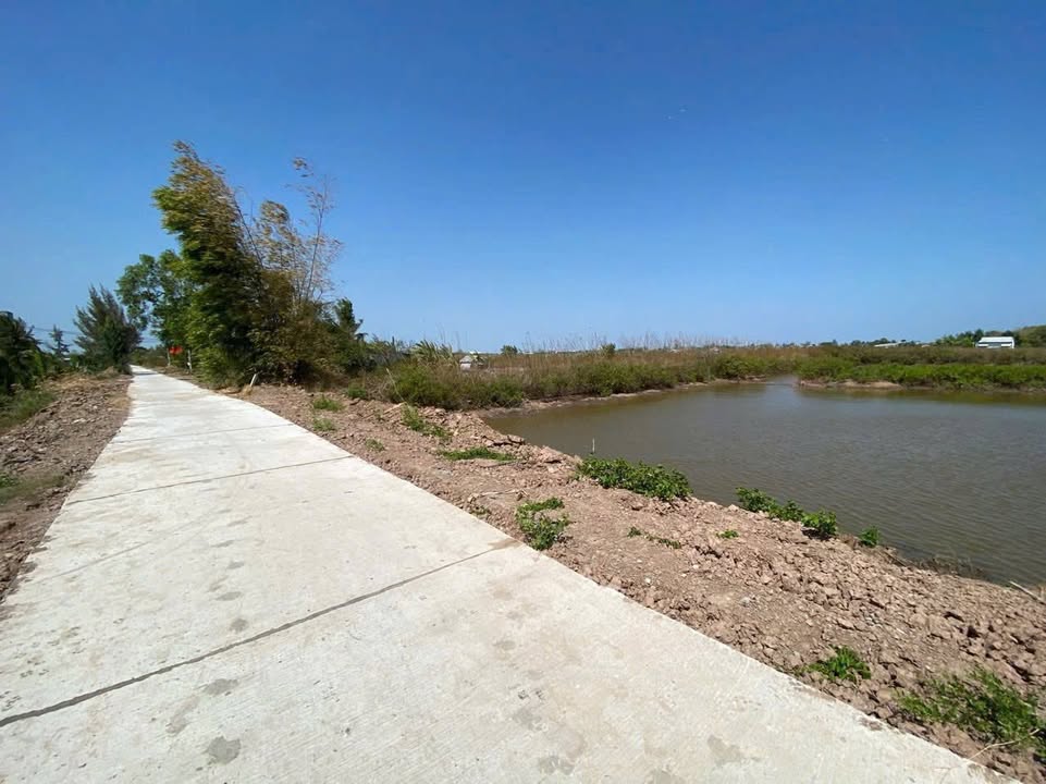 Đất vườn Hòa Bình Bạc Liêu 3682m² - 1.76 tỷ - Sổ đỏ chính chủ