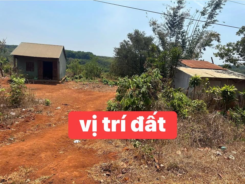 Bán đất Ia Pnôn Đức Cơ 300m² giá 3xx triệu - Sổ đỏ chính chủ
