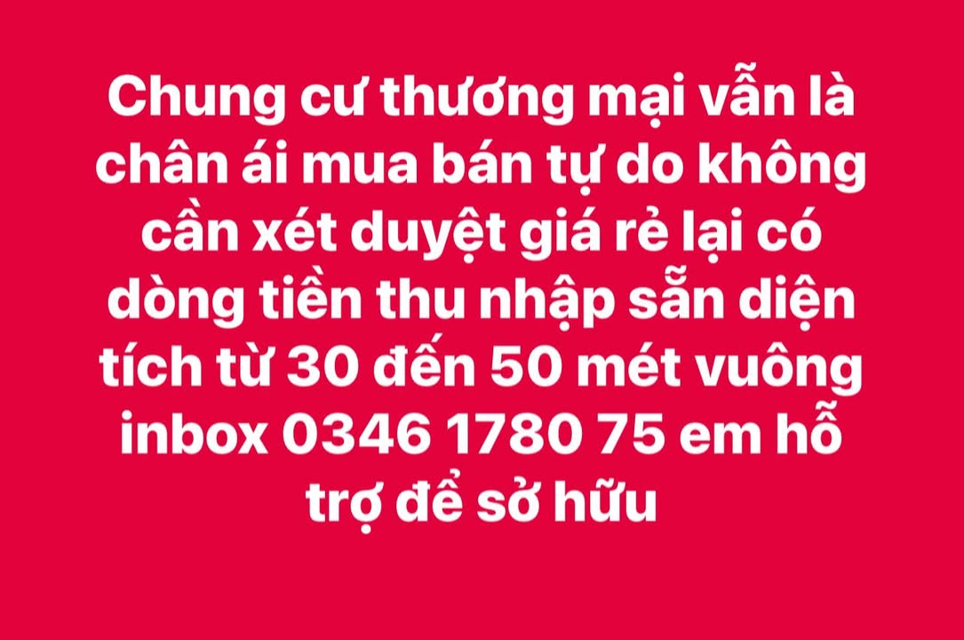 Căn hộ chung cư Kinh Bắc 30m² - Giá rẻ, mua bán tự do ngay trung tâm!