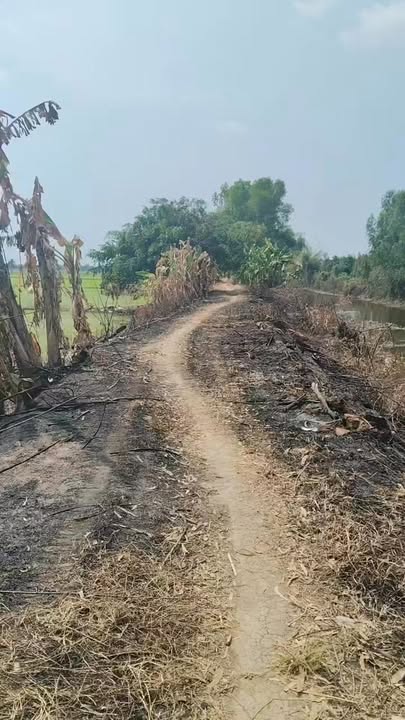 Đất vườn Châu Thành Tây Ninh 3.2ha giá 3.52 tỷ - Sổ đỏ chính chủ