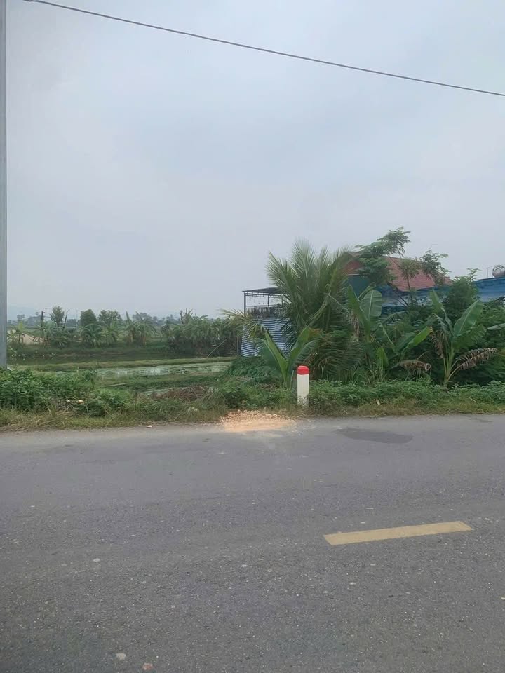 Đất nền Nông Cống Thanh Hóa 100m² - Tiềm năng tăng giá vượt trội!