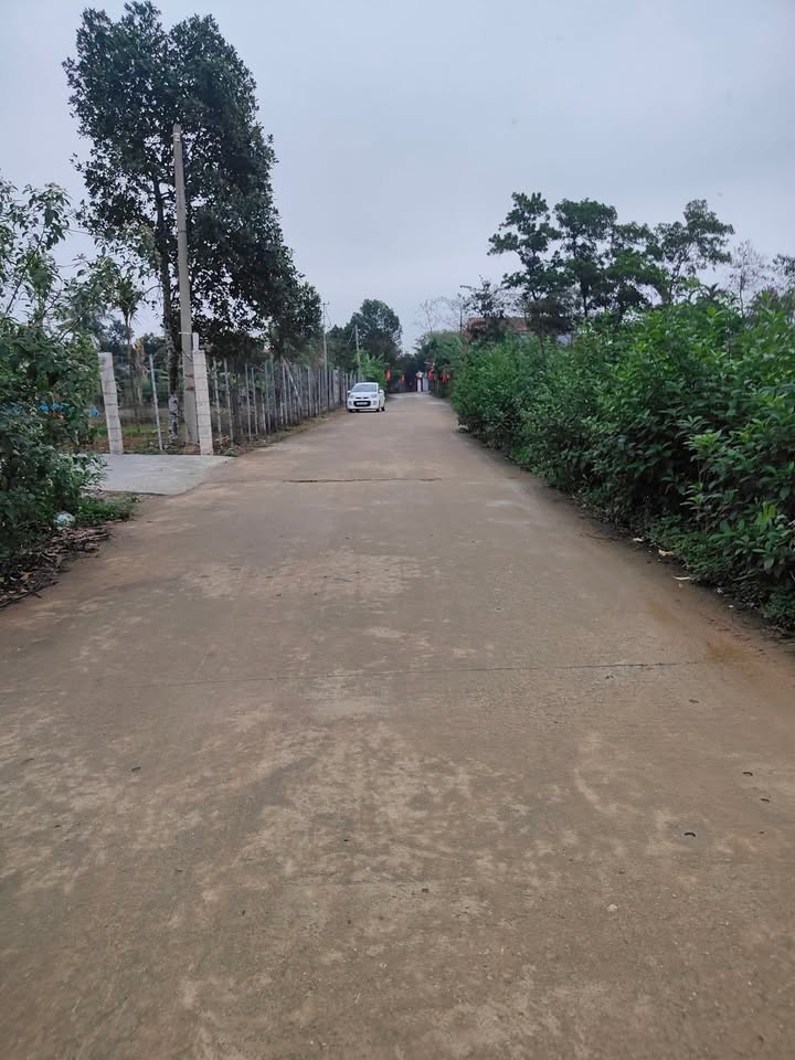 Đất nền Phú Lộc, Nho Quan 150m² - Sổ đỏ chính chủ, chỉ từ 600 triệu