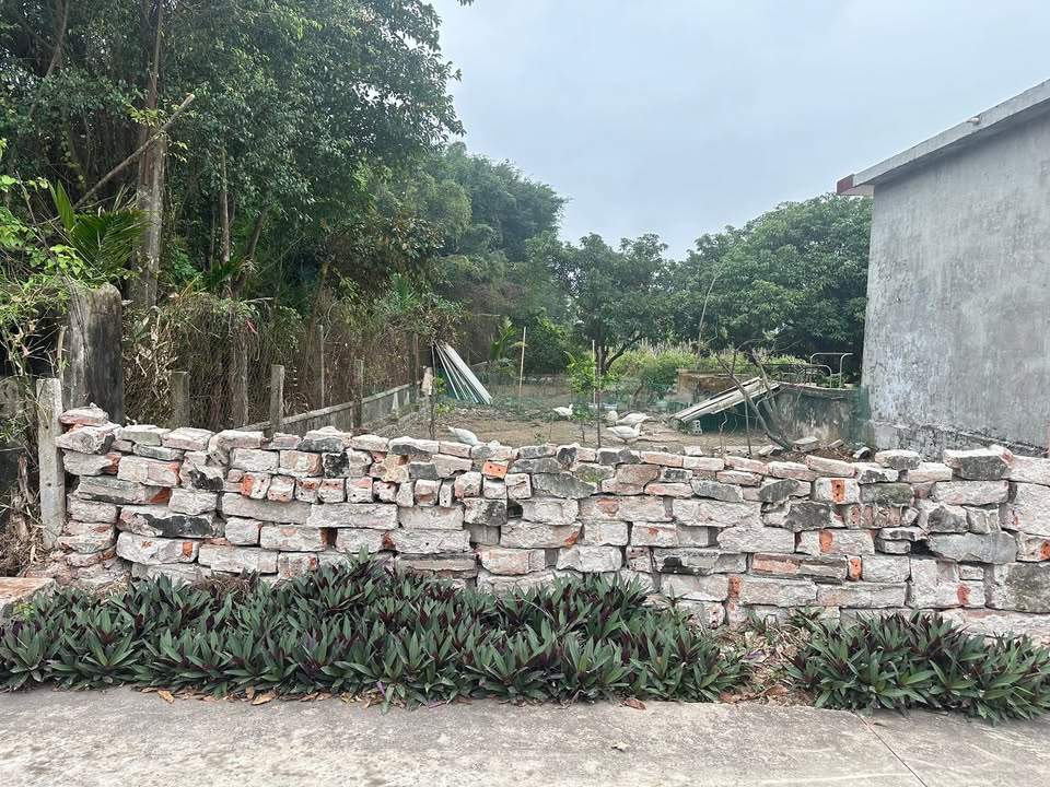 Đất nền Nghĩa Hưng 110m² - Sổ đỏ chính chủ, tiềm năng tăng giá!