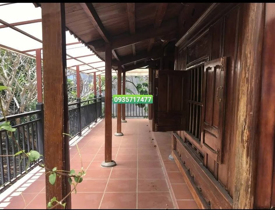 Cho thuê biệt thự vườn 600m² Bầu Mác, Nha Trang - Sân vườn rộng, ô tô vào tận nơi