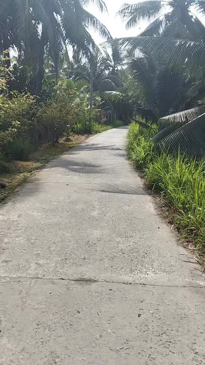 Đất nền Chợ Gạo 3000m² - Tiềm năng tăng giá vượt trội!