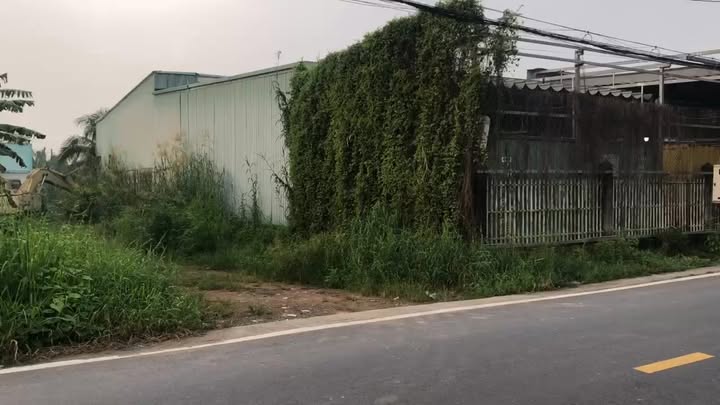 Đất nền Bình Chánh 200m² giá 4.3 tỷ - Tiềm năng tăng giá vượt trội!