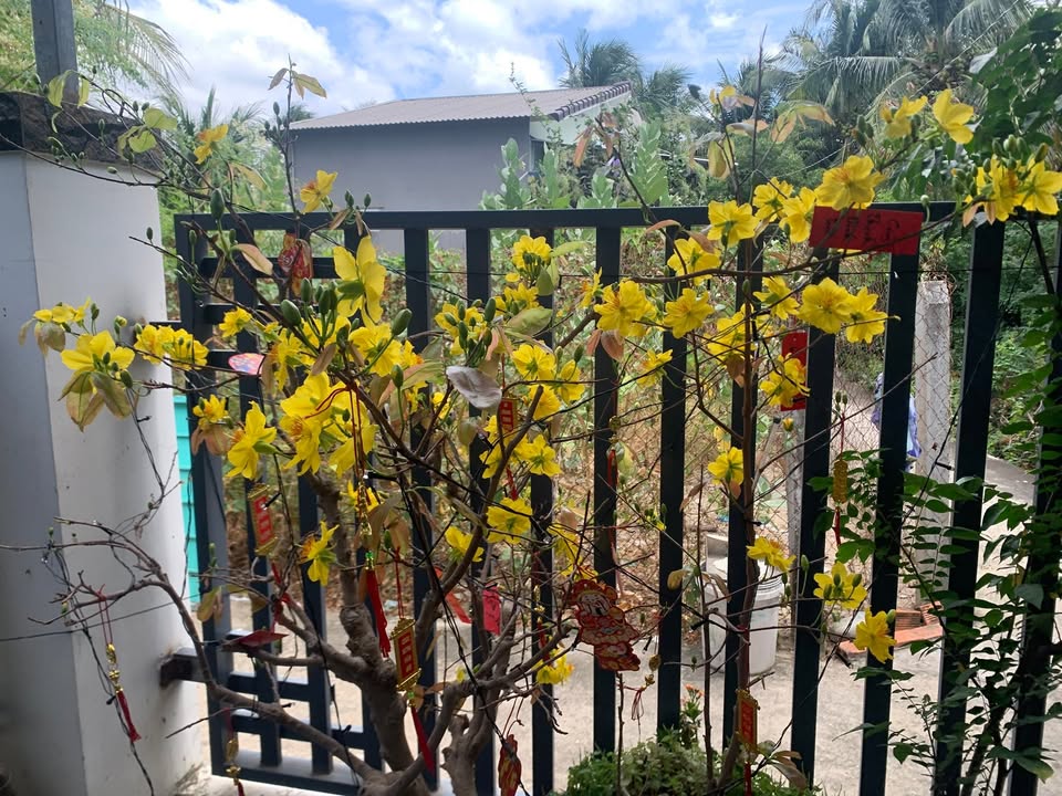 Bán nhà Phường Mỹ Hải Phan Rang 91m² giá 1.25 tỷ - Giá tốt hiếm có!