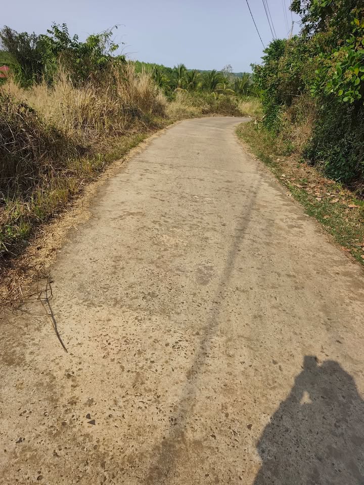 Đất vườn Lộc Điền Lộc Ninh 3000m² giá 720 triệu - Nghỉ dưỡng lý tưởng!