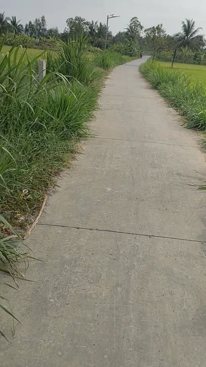 Đất nền Vĩnh Hựu Gò Công Tây 500m² giá 680 triệu - Sổ đỏ chính chủ!