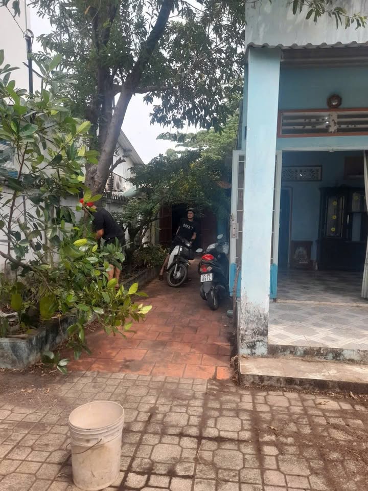 Nhà nguyên căn Thủ Dầu Một 196m² 4 triệu - Ô tô vào tận nhà!