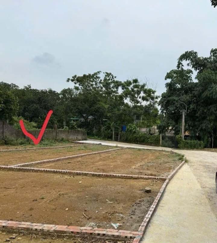 Đất nền Cổ Đông, Sơn Tây 112.4m² - Rẻ nhất khu vực, sổ sẵn công chứng ngay