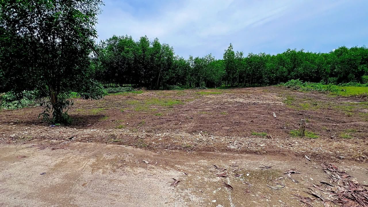 Đất nền Khánh Nam Khánh Vĩnh 320m² giá 450 triệu - Sổ đỏ chính chủ!