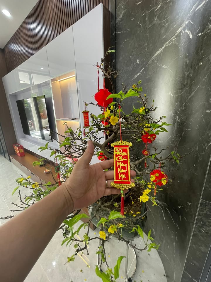 Nhà riêng Hoà Quý Đà Nẵng 268m² - Ô tô vào tận nhà, giá 8.6 tỷ!