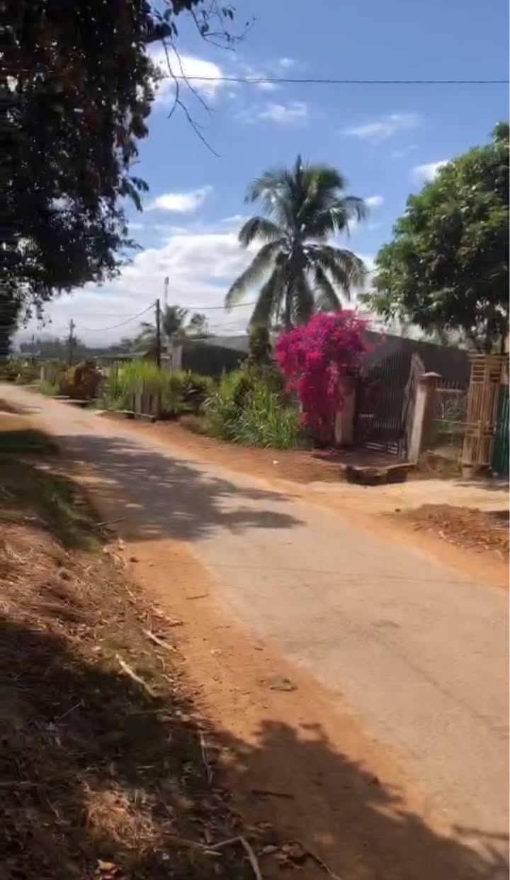 Bán đất nông nghiệp 550m² Thôn 7, Kon Tum - Hướng Bắc, Sổ đỏ