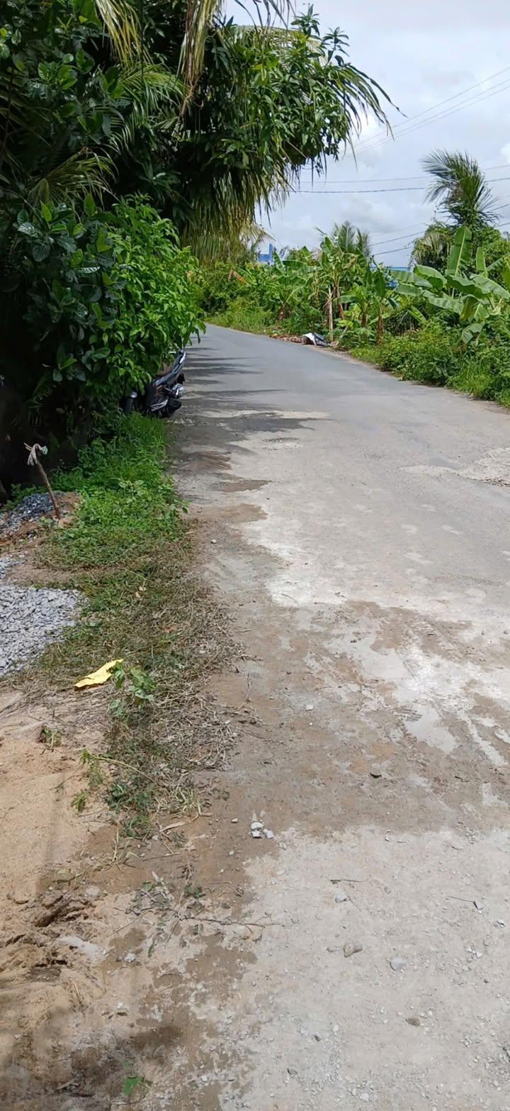 Đất nền Lai Vung 228m² 900 triệu - Đất thổ cư 100%