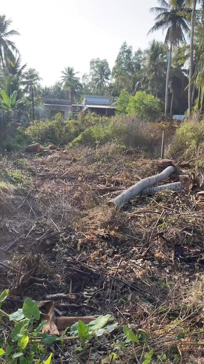 Đất nền Đường 911, Mang Thít 423m² - Tiềm năng tăng giá vượt trội!