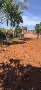 Đất Vàng Buôn Hồ - 1450m² Mặt Tiền Lý Tự Trọng, Giá 1.25 Tỷ