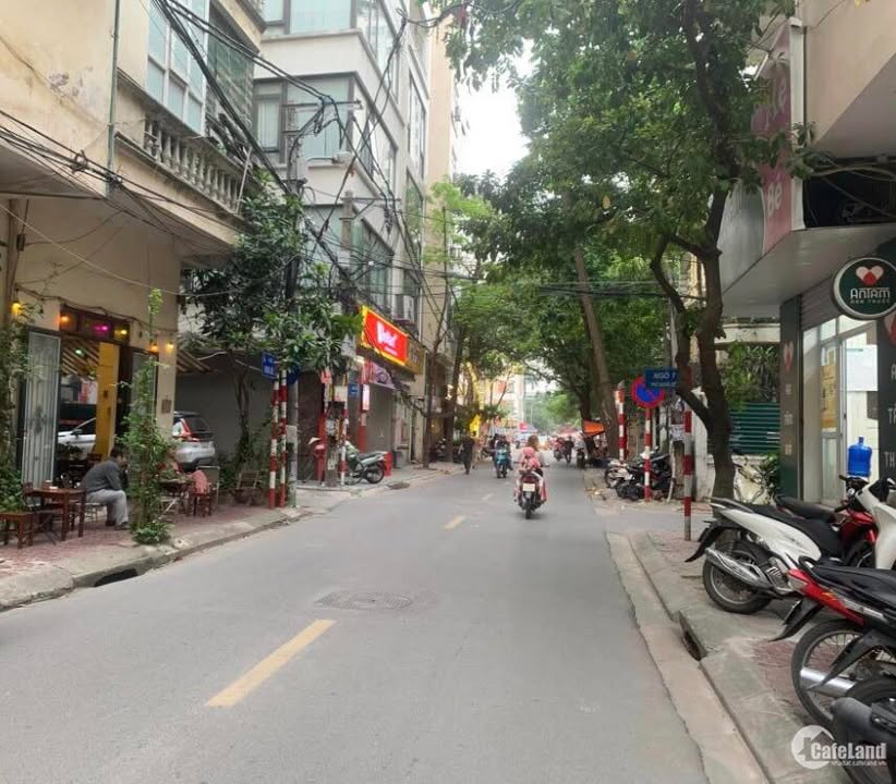 Nhà Mặt Phố Hoàng Quốc Việt 54m² - Kinh Doanh Sầm Uất - 24 Tỷ