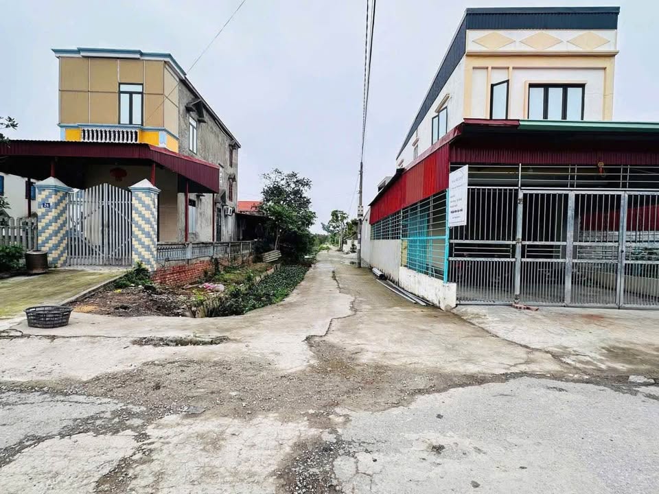 Đất nền Hợp Đức, Đồ Sơn 59m² giá 7xx triệu - Tiềm năng tăng giá!