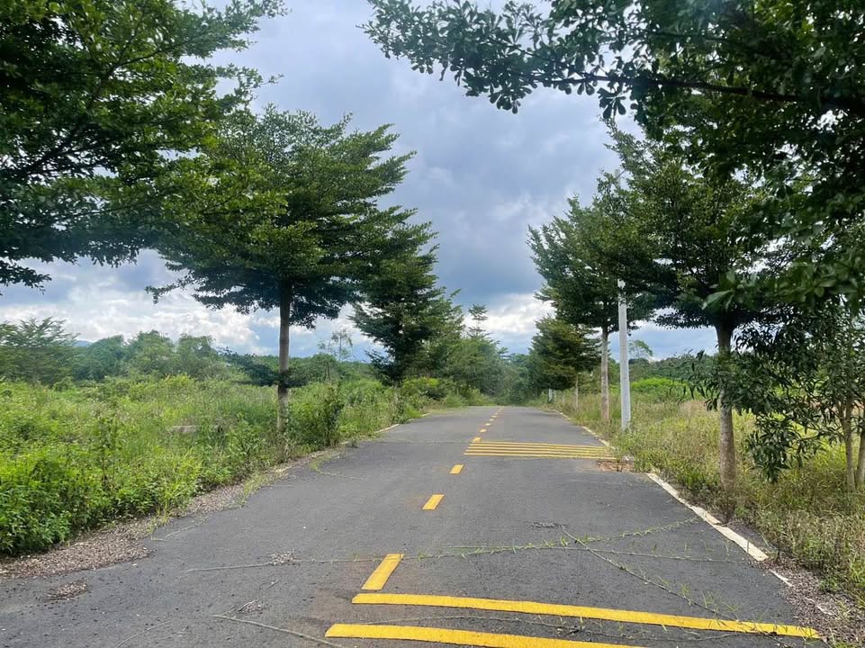 Đất nền Park Hill Lộc An 107m² giá 550 triệu - Sổ đỏ chính chủ