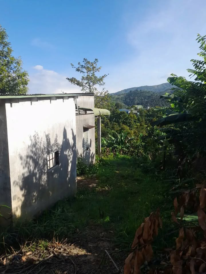 Đất Nền Bảo Lộc 1026m² Nở Hậu Lớn - Sẵn Sàng Xây Dựng, Giá 1.1 Tỷ