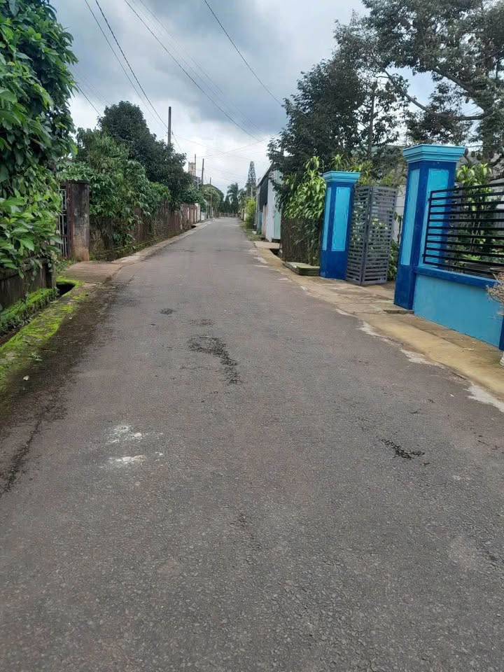 Mặt Tiền Nguyễn Du 5x31m, 100m² Thổ Cư, P.1, Bảo Lộc - Giá 2.3 Tỷ