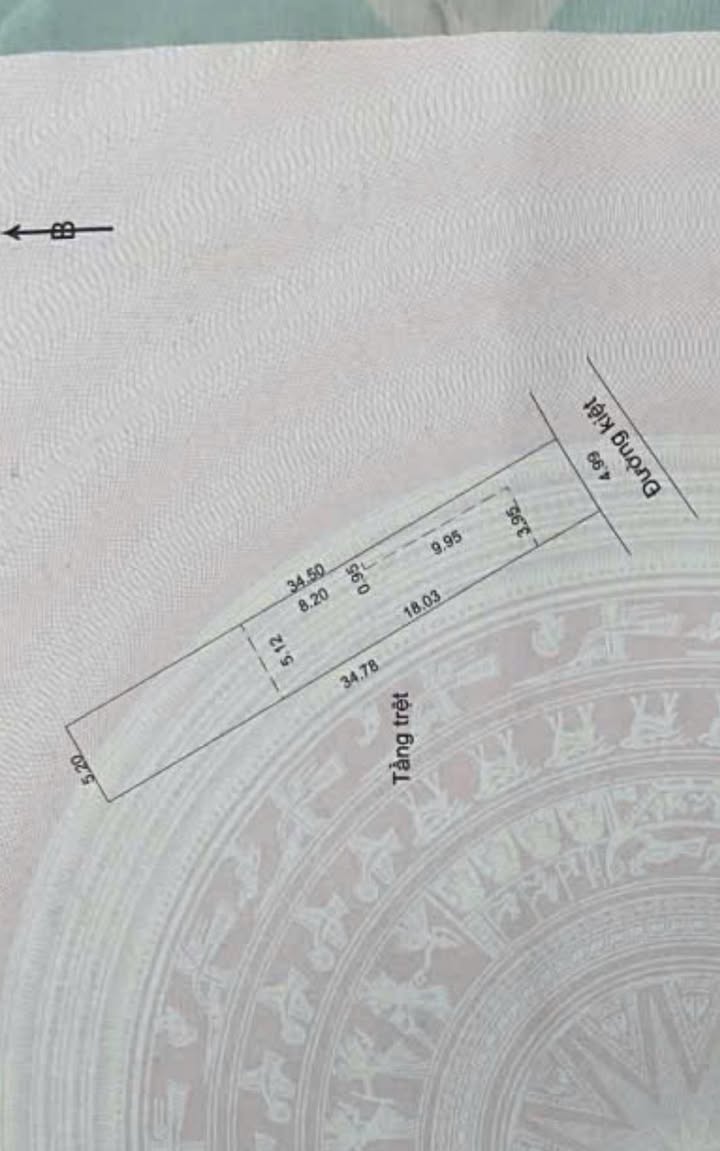 Đất Nền Tô Hiệu Đà Nẵng 176m² - Hẻm Ô Tô Vào Tận Nơi!