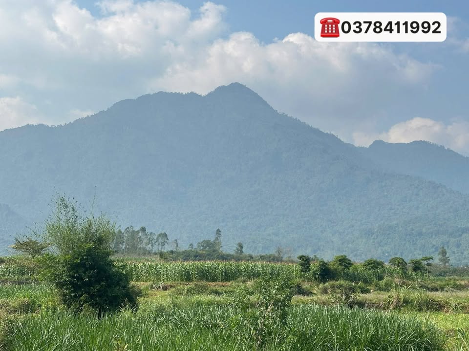 Đất thổ cư Yên Bài Ba Vì 250m² - Sổ đỏ chính chủ, đầu tư sinh lời!