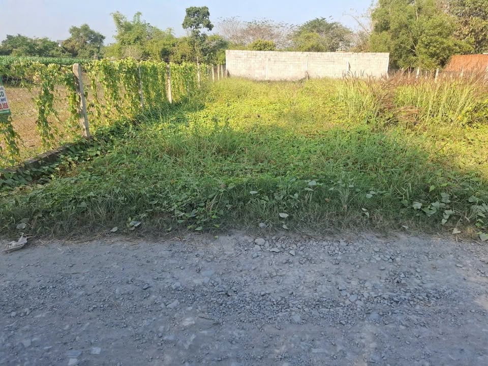 Đất nền Mỹ Hạnh Bắc 150m² - Sổ hồng chính chủ, tiềm năng tăng giá!