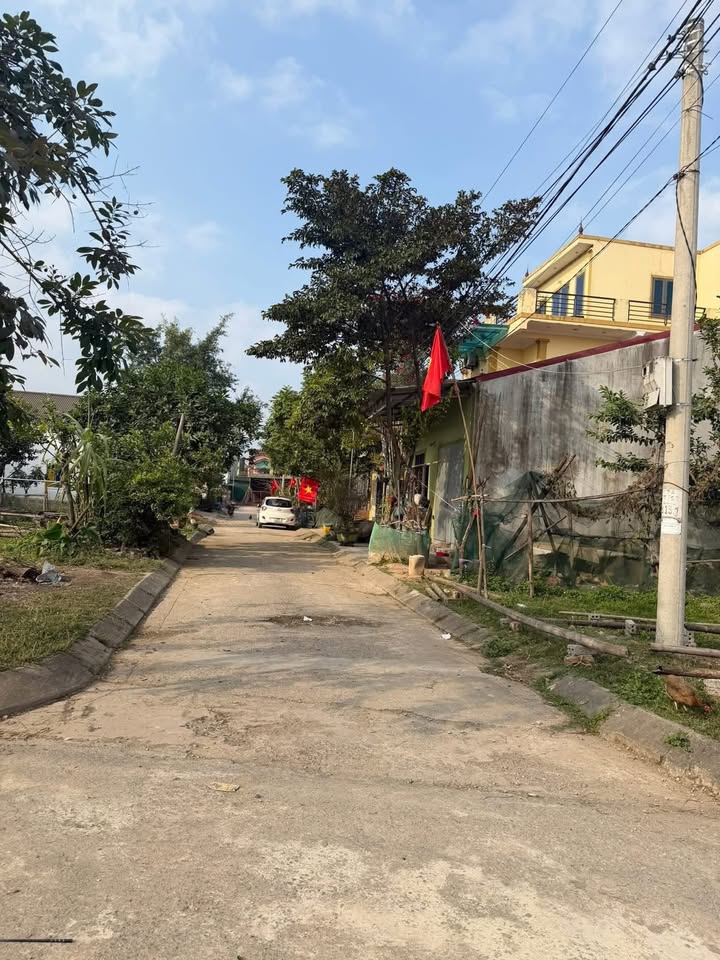 Đất Tái Định Cư Đô Lương, Nghệ An - 90m² Giá Tốt, Vị Trí Vàng