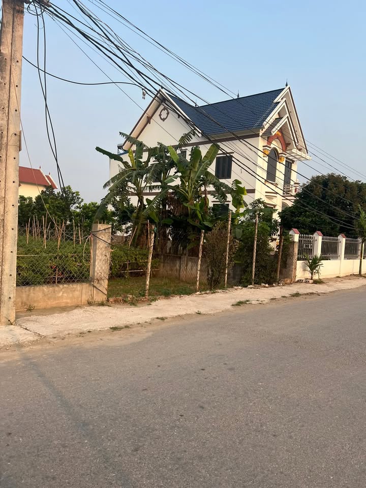 Đất Nền Nam Điền 217m² - Sổ Đỏ Chính Chủ, Tiềm Năng Tăng Giá!