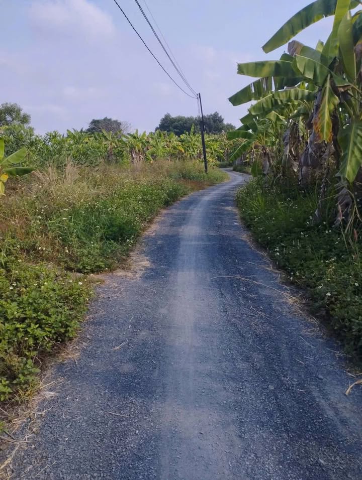 Bán Gấp Đất Vườn 1332m² Sông Trầu, Trảng Bom - Giá Đầu Tư 1.65 Tỷ