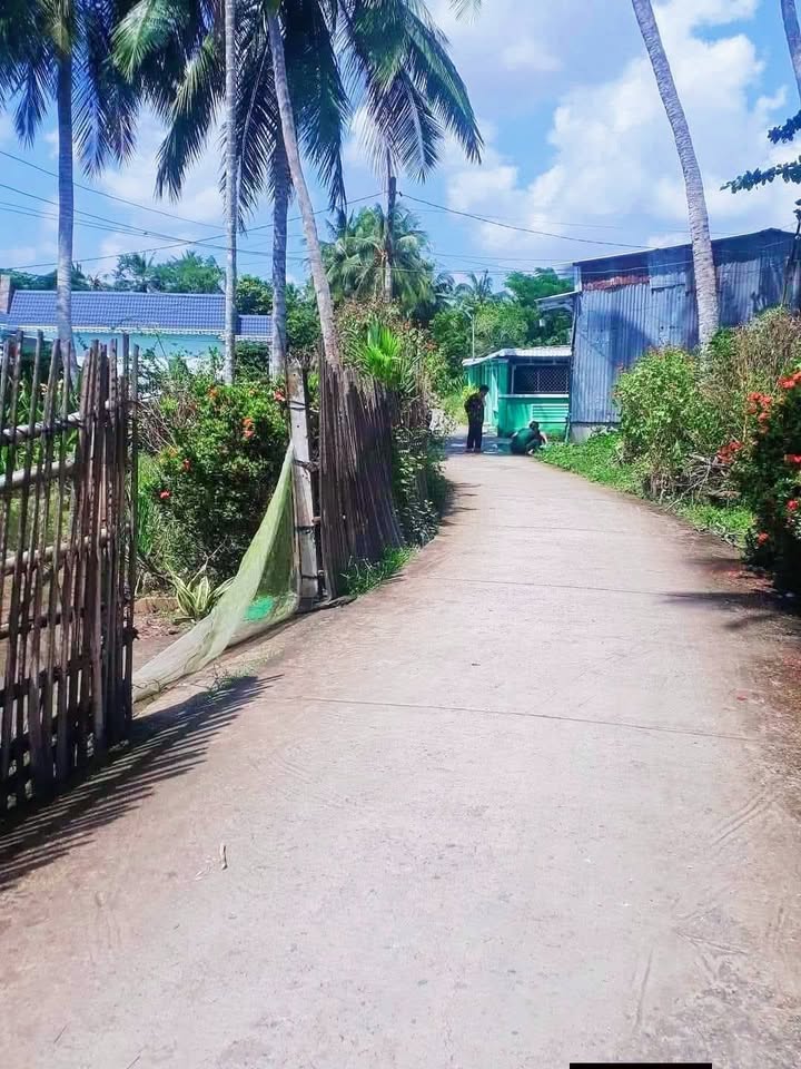 Đất nền Tài Văn Trần Đề 300m² chỉ 320 triệu - Sổ đỏ chính chủ