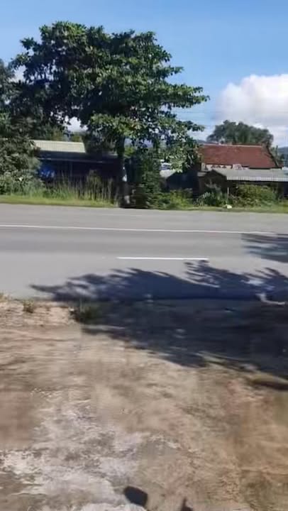 Đất nền Mặt tiền QL1A Hàm Thuận Nam 320m² - Bán gấp, Sổ hồng sẵn!