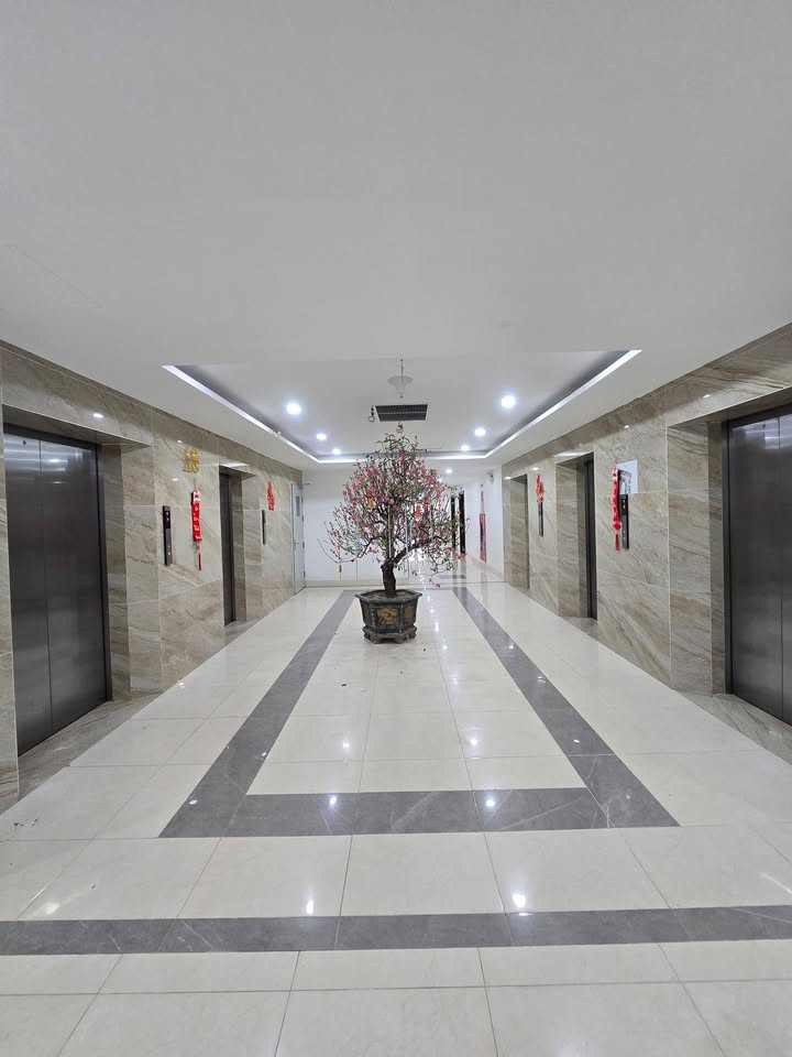 Căn hộ Tecco Diamond Tứ Hiệp 64m² giá 4.8 tỷ - Sẵn sàng vào ở!